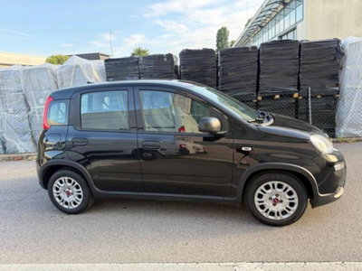 Fiat Panda 1.0 firefly hybrid s&s 70cv 5p.ti (5)