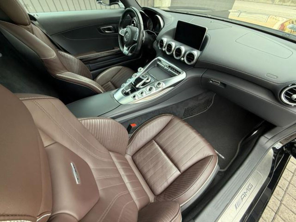 Mercedes-Benz AMG GT R GT R (11)