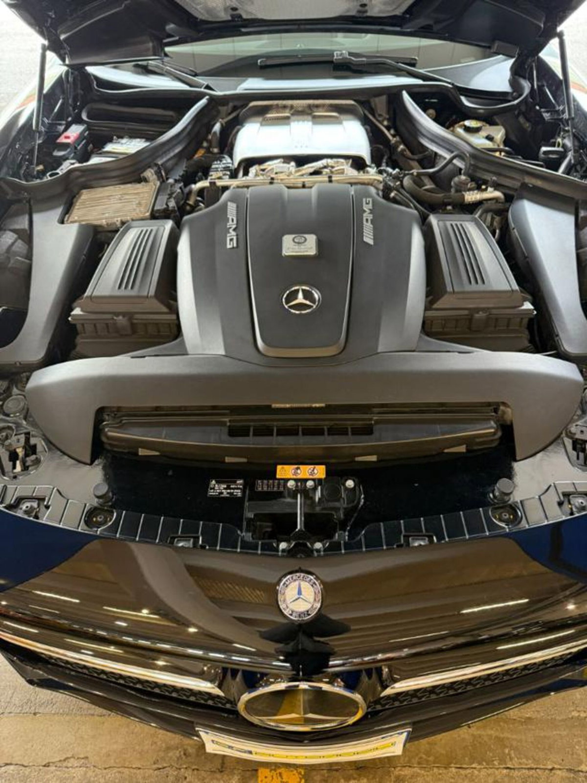 Mercedes-Benz AMG GT R GT R (14)