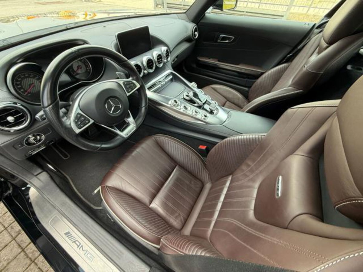 Mercedes-Benz AMG GT R GT R (9)