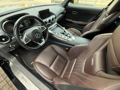 Mercedes-Benz AMG GT R GT R (9)