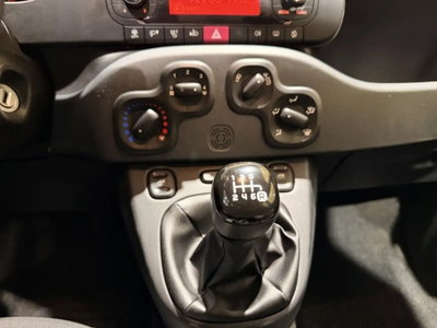 Fiat Panda Cross Cross 1.0 FireFly S&S Hybrid (11)