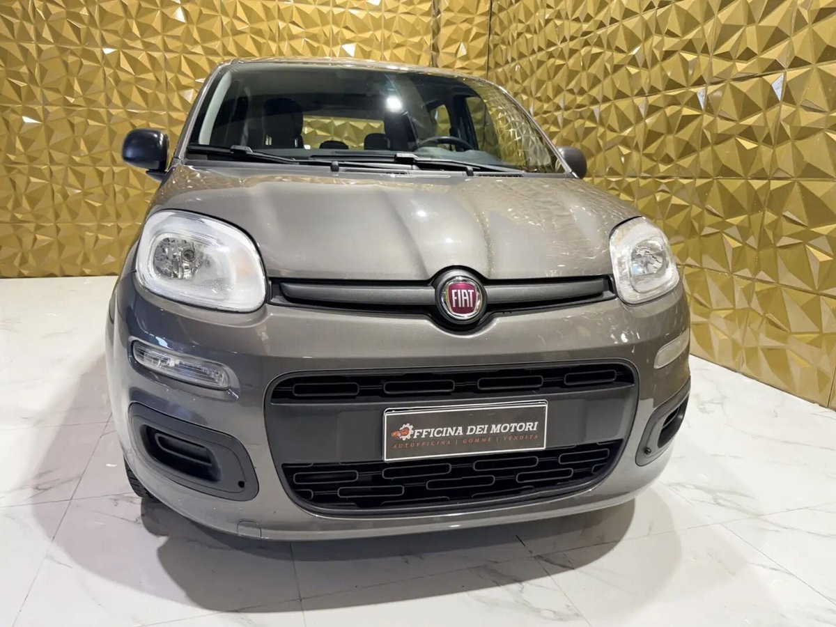 Fiat Panda Cross Cross 1.0 FireFly S&S Hybrid (2)