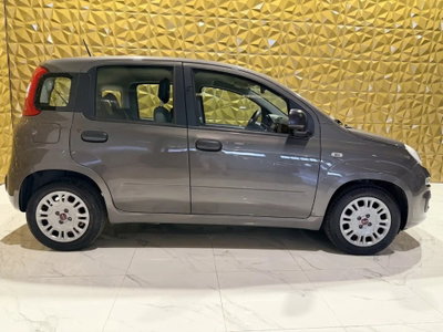 Fiat Panda Cross Cross 1.0 FireFly S&S Hybrid (3)
