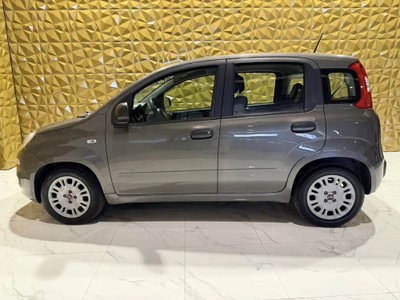 Fiat Panda Cross Cross 1.0 FireFly S&S Hybrid (5)