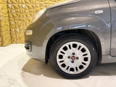Fiat Panda Cross Cross 1.0 FireFly S&S Hybrid (6)