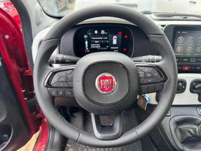 Fiat Panda Cross Cross 1.0 FireFly S&S Hybrid (10)