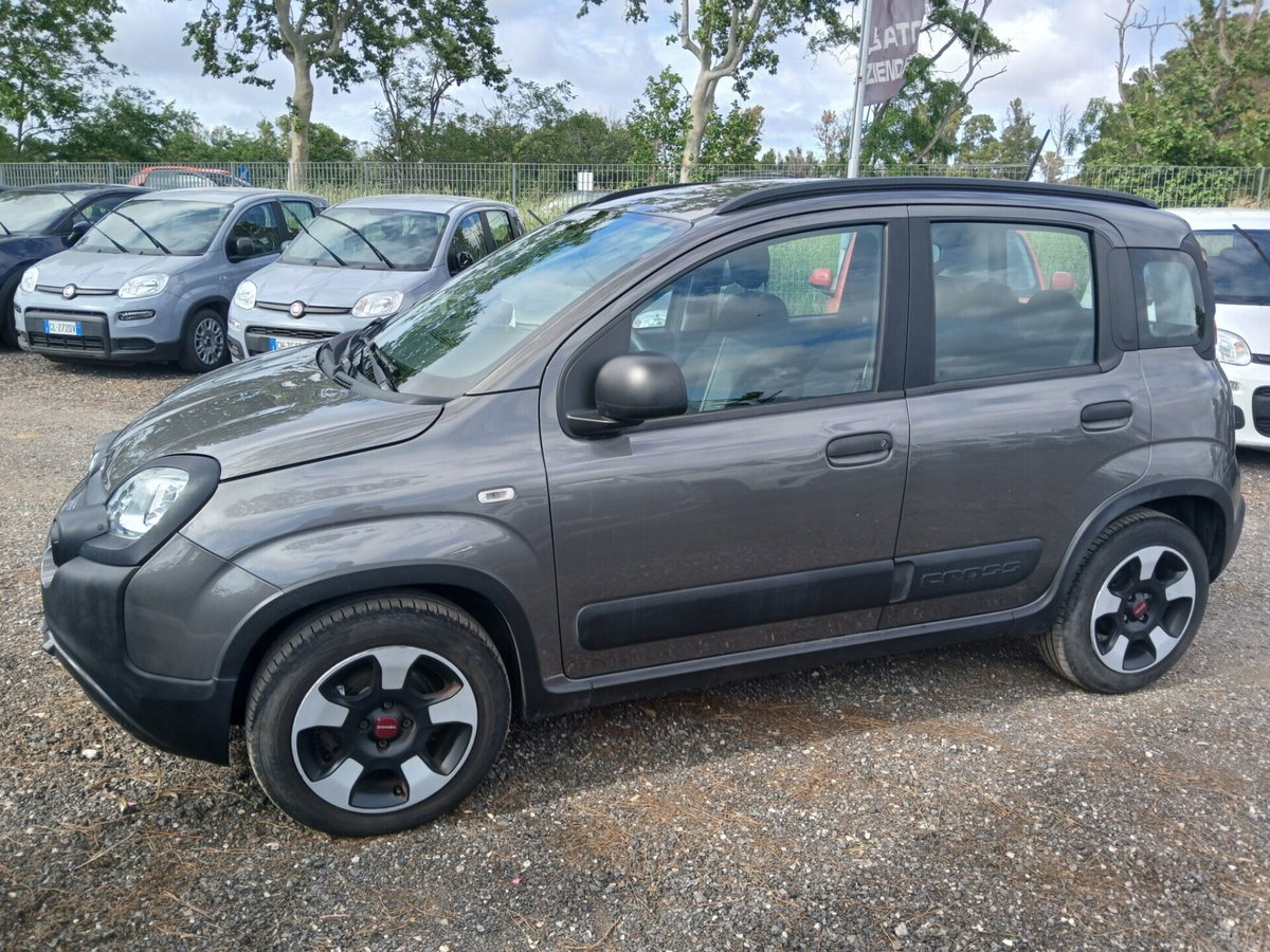 Fiat Panda Cross Cross 1.0 FireFly S&S Hybrid (2)