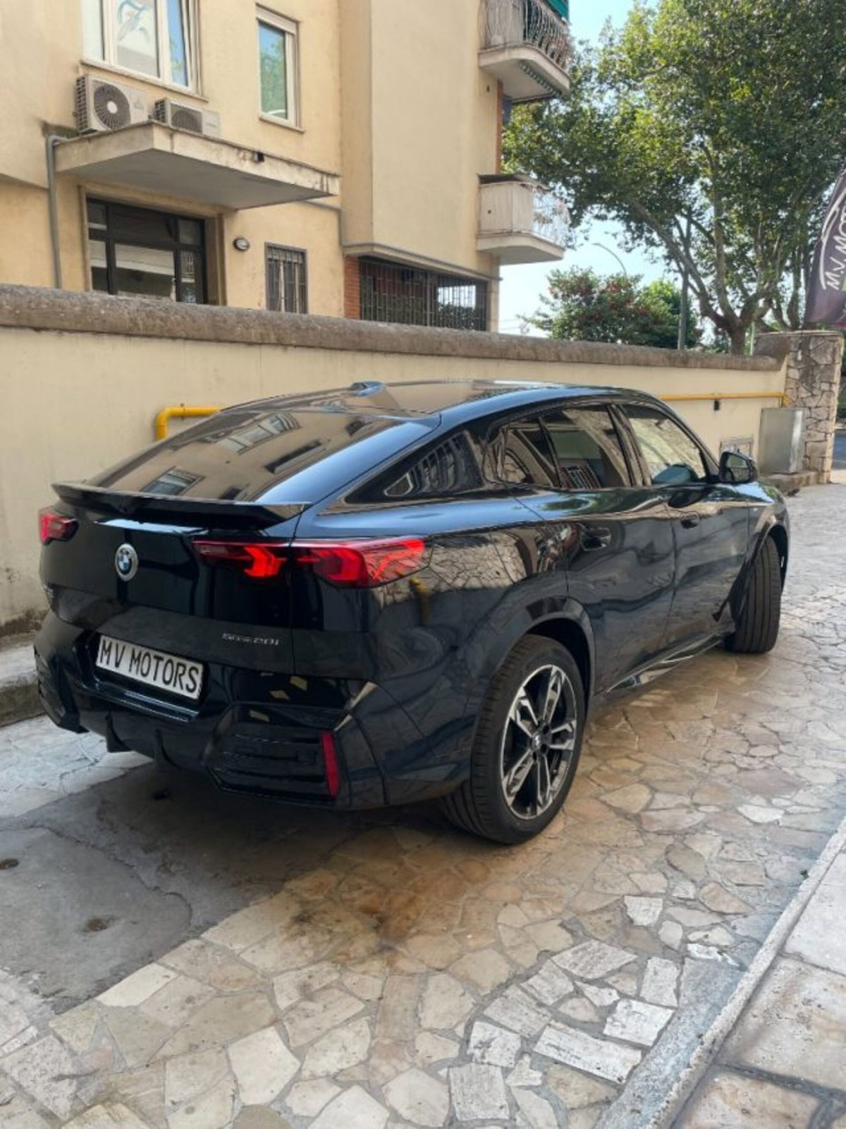 BMW X2 sdrive 20i 48V MSport Pro auto (6)