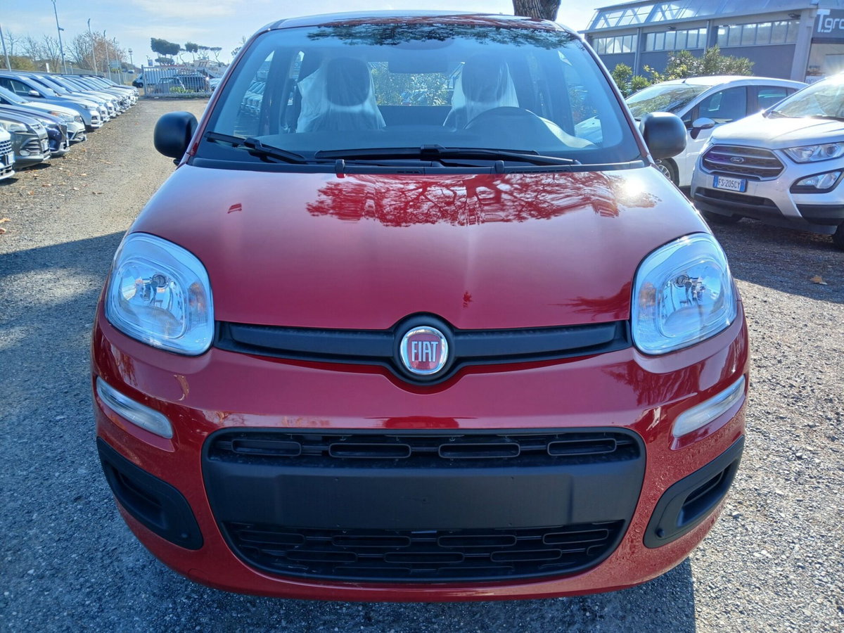 Fiat Panda 1.0 FireFly S&S Hybrid (2)
