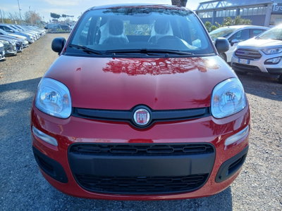 Fiat Panda 1.0 FireFly S&S Hybrid (2)