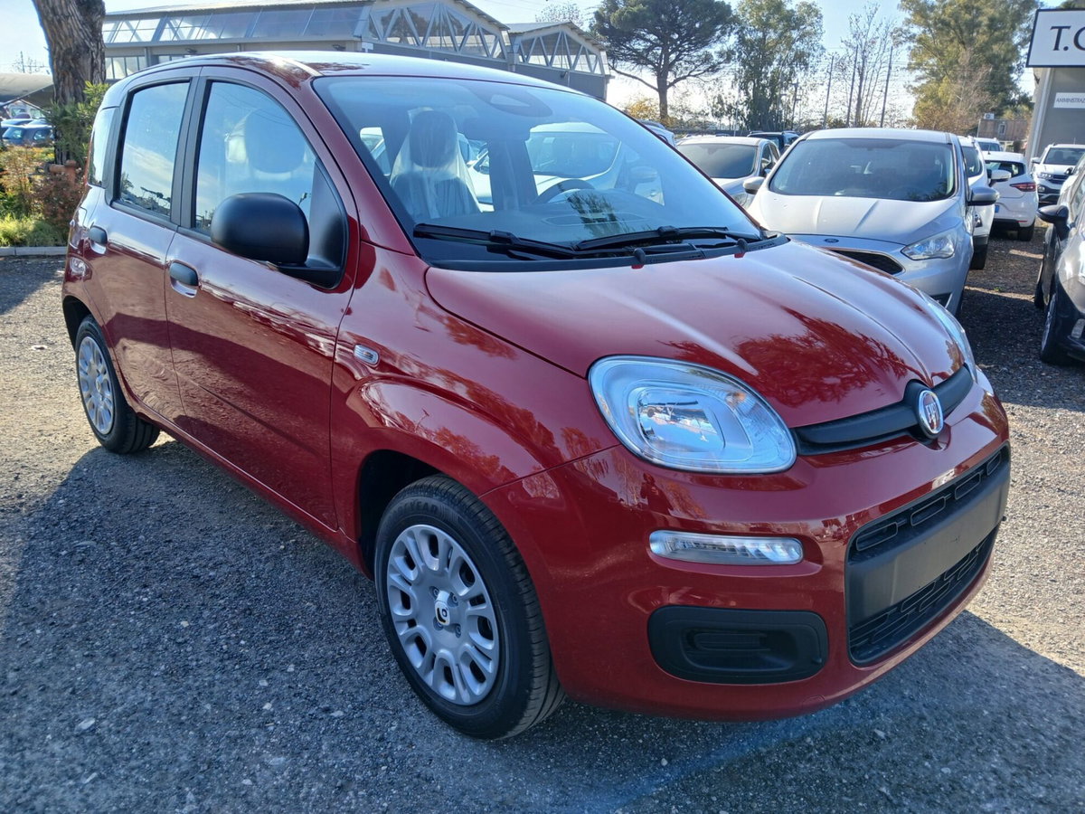 Fiat Panda 1.0 FireFly S&S Hybrid (3)