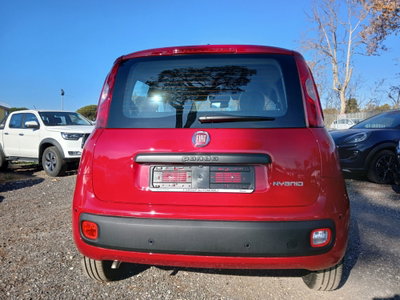 Fiat Panda 1.0 FireFly S&S Hybrid (6)