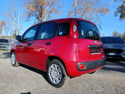 Fiat Panda 1.0 FireFly S&S Hybrid (7)