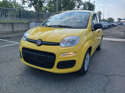Fiat Panda 1.0 FireFly S&S Hybrid (2)