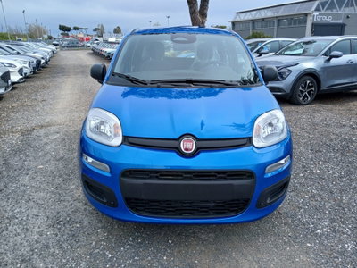 Fiat Panda 1.0 FireFly S&S Hybrid (2)