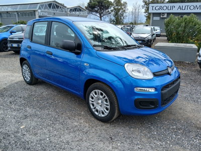 Fiat Panda 1.0 FireFly S&S Hybrid (3)