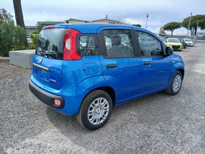 Fiat Panda 1.0 FireFly S&S Hybrid (5)