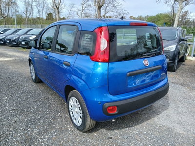 Fiat Panda 1.0 FireFly S&S Hybrid (7)
