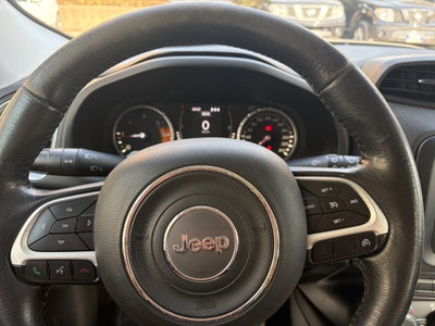 Jeep Renegade 1.6 Mjt 120 CV Longitude (12)