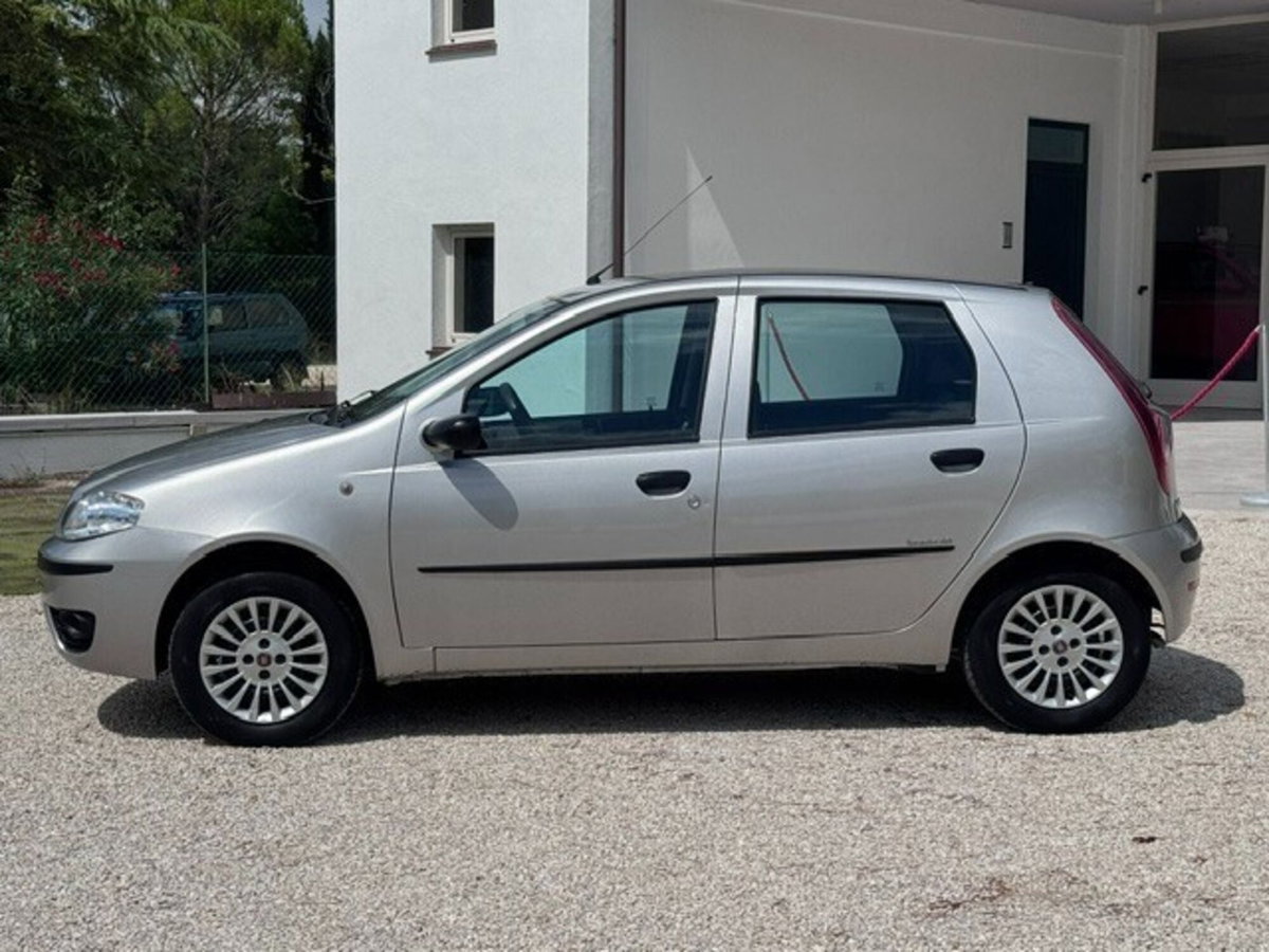 Fiat Punto 1.2 5 porte Active Natural Power (3)