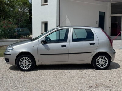 Fiat Punto 1.2 5 porte Active Natural Power (3)