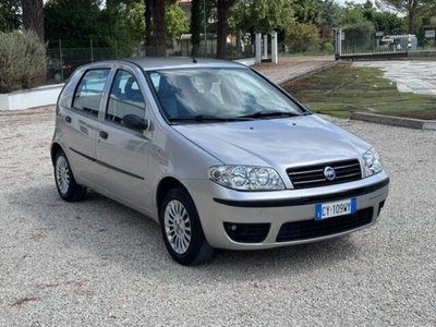 Fiat Punto 1.2 5 porte Active Natural Power (4)