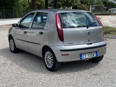 Fiat Punto 1.2 5 porte Active Natural Power (6)