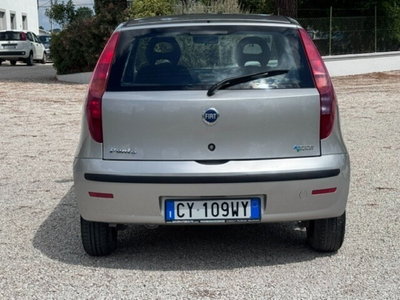 Fiat Punto 1.2 5 porte Active Natural Power (7)