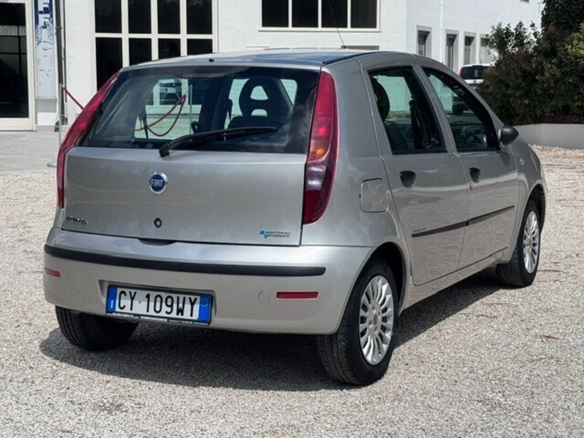 Fiat Punto 1.2 5 porte Active Natural Power (8)