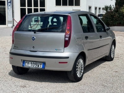 Fiat Punto 1.2 5 porte Active Natural Power (8)