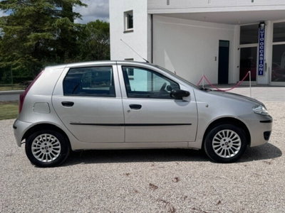 Fiat Punto 1.2 5 porte Active Natural Power (9)