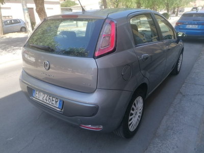 Fiat Punto Classic 1.3 MJT 5 porte Active (6)