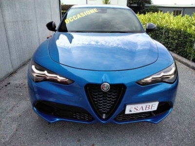 Alfa Romeo Stelvio Stelvio 2.2 Turbodiesel 210 CV AT8 Q4 Veloce (19)