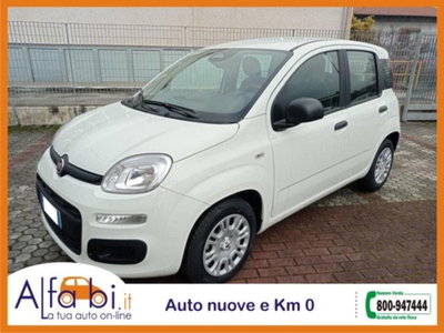 Fiat Pandina 1.0 firefly hybrid Icon s&s 65cv (2)