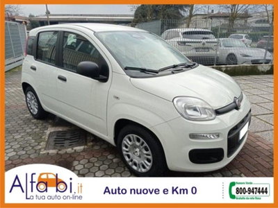 Fiat Pandina 1.0 firefly hybrid Icon s&s 65cv (3)