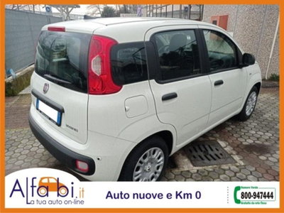 Fiat Pandina 1.0 firefly hybrid Icon s&s 65cv (5)