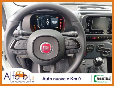 Fiat Pandina 1.0 firefly hybrid Icon s&s 65cv (12)