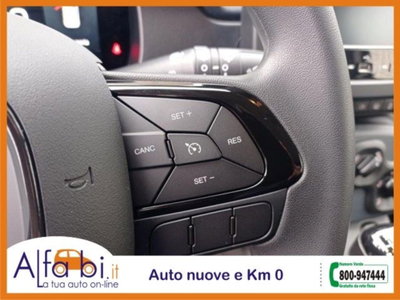 Fiat Pandina 1.0 firefly hybrid Icon s&s 65cv (14)