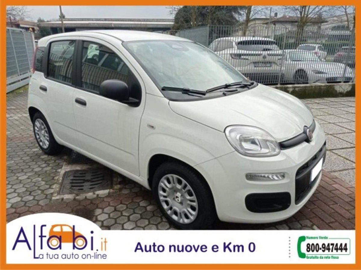 Fiat Pandina 1.0 firefly hybrid Icon s&s 65cv (3)