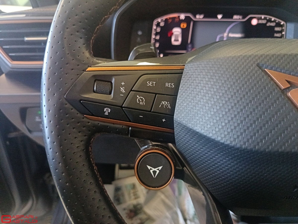 Cupra Formentor Formentor 2.0 TSI 4Drive DSG VZ Launch Edition (18)