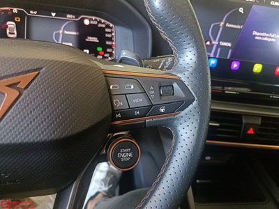 Cupra Formentor Formentor 2.0 TSI 4Drive DSG VZ Launch Edition (19)