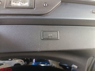 Cupra Formentor Formentor 2.0 TSI 4Drive DSG VZ Launch Edition (7)
