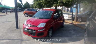 Fiat Panda 1.0 FireFly S&S Hybrid City Cross usata
