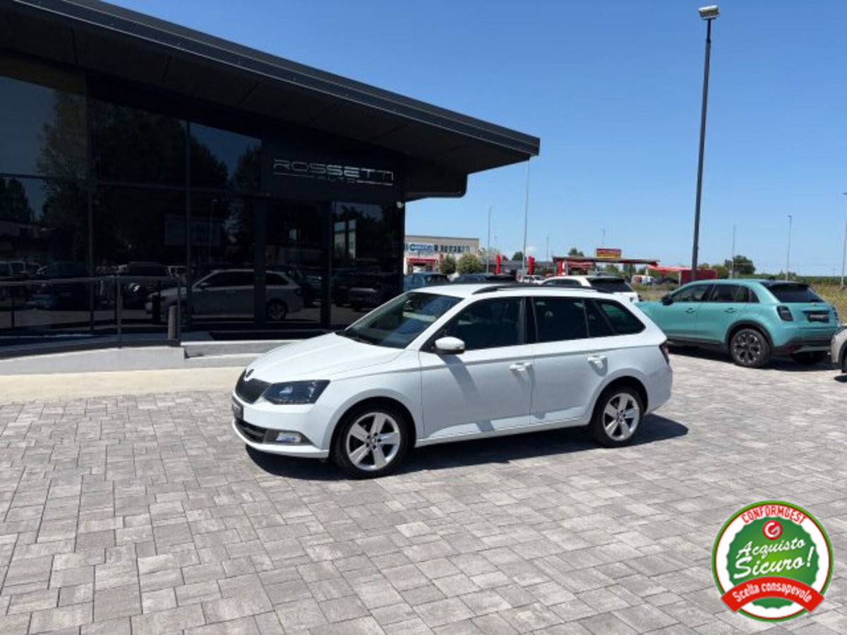 Skoda Fabia Station Wagon 1.4 TDI 90 CV Wagon Style (3)
