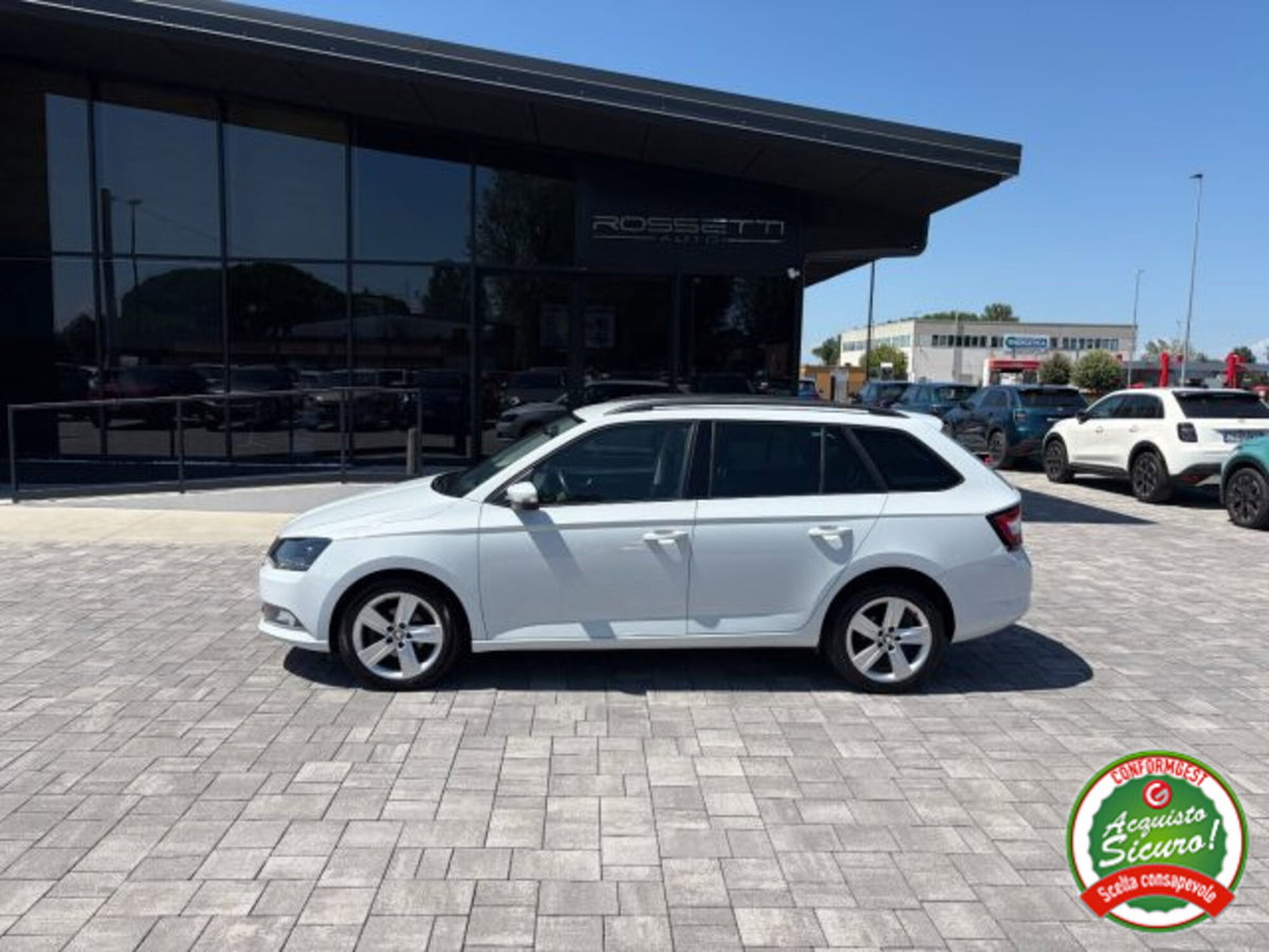 Skoda Fabia Station Wagon 1.4 TDI 90 CV Wagon Style (4)