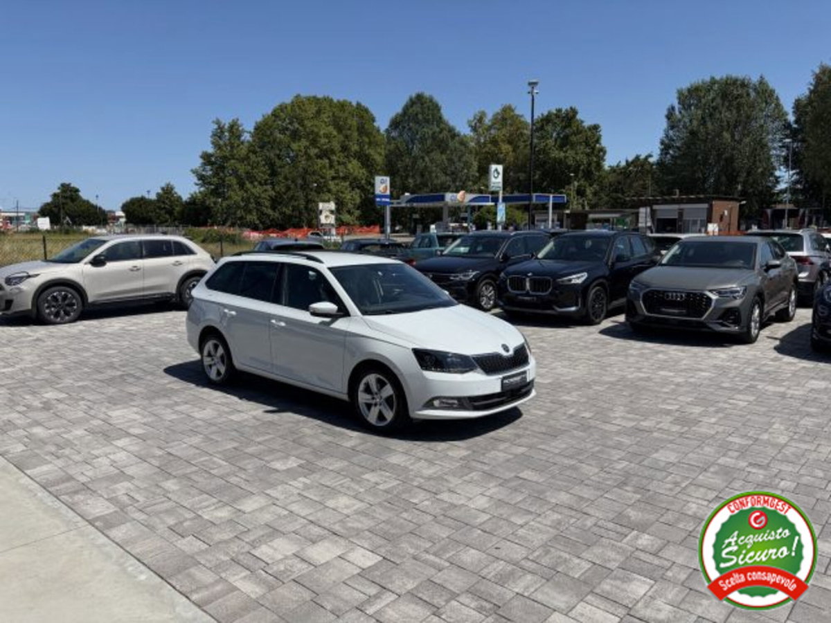 Skoda Fabia Station Wagon 1.4 TDI 90 CV Wagon Style (5)