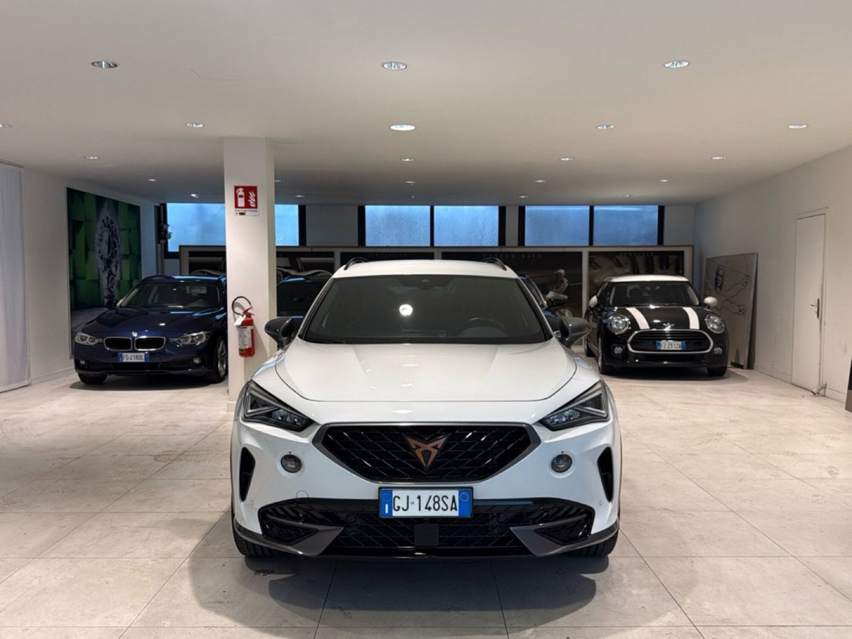 Cupra Formentor Formentor 1.5 TSI (17)