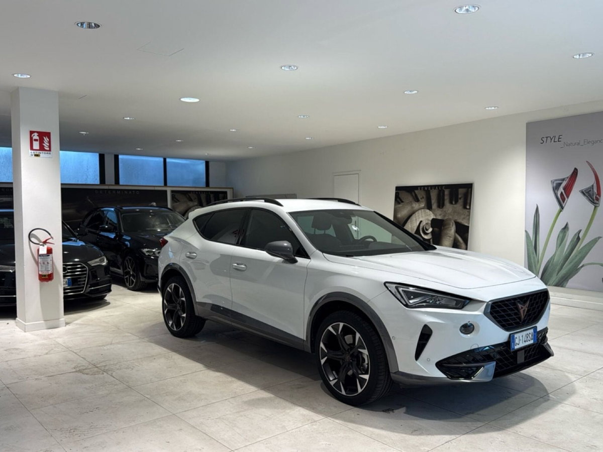Cupra Formentor Formentor 1.5 TSI (2)