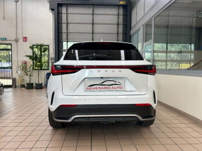 Lexus NX Hybrid 4WD F-Sport (13)